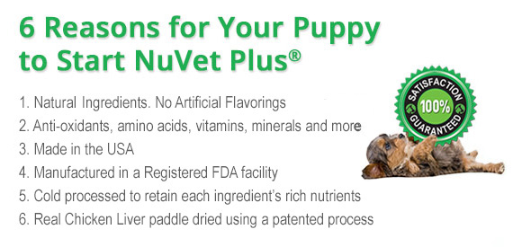 NuVet plus vitamins information image