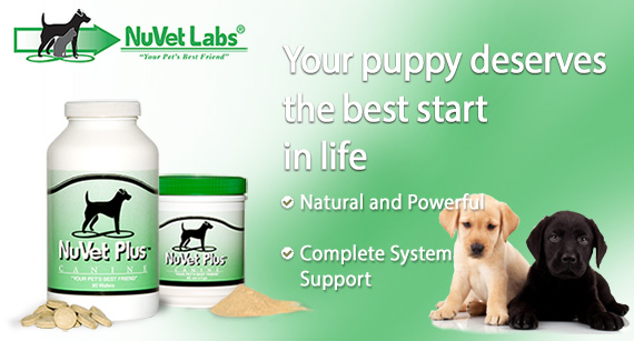 NuVet plus vitamins