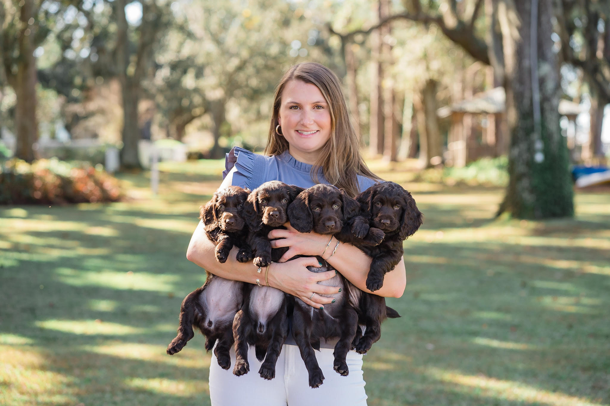 Read more about the article Vet Spotlight: Dr. Megan Harwood – Colony Animal Clinic